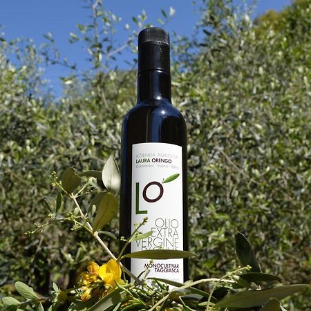 Agriturismo Dalla Mimmi Dolceacqua Εξωτερικό φωτογραφία