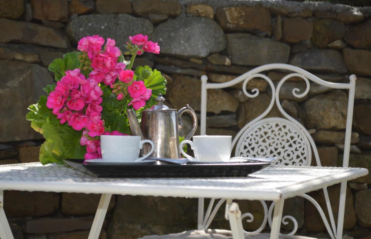 Agriturismo Dalla Mimmi Dolceacqua Εξωτερικό φωτογραφία